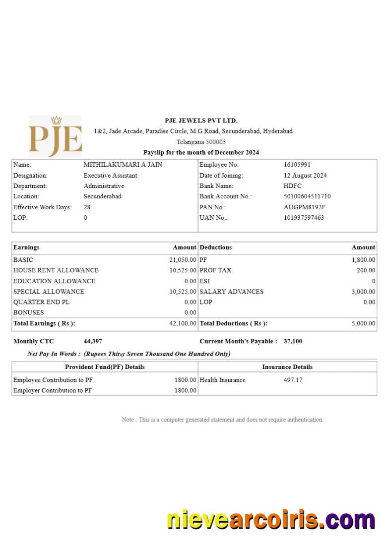 PJE Jewels payslip